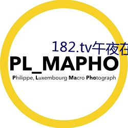 182.tv午夜在线观看 （还淳反朴）