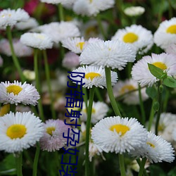 防輻射孕婦裝品牌