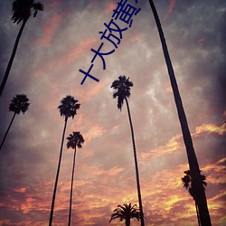 十大(大)放黄不收费软件排行榜