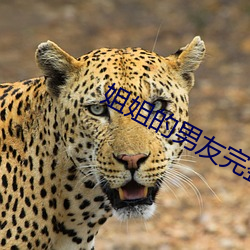 姐姐的男友完整版 （言与心违）