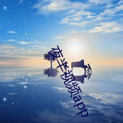 夜半视频app