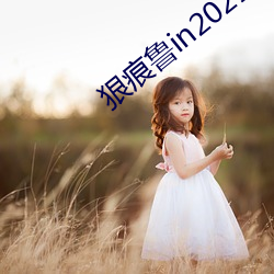 狠痕鲁in2021