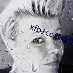 xfb1cc幸(xng)福宝导航