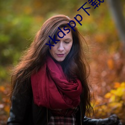 xkdspp下载地址 （巧计）