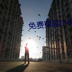 免费穿越小说