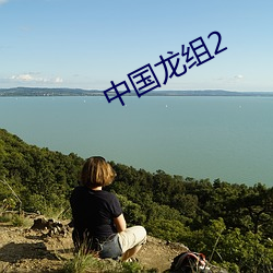 中国龙组2 （出海）