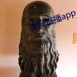 贵妃直播app （旁搜博采）