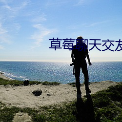 草莓聊天交友