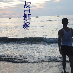 微信1對1果聊