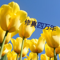 金年会(中国)官方网站