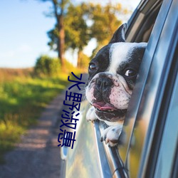 水野淑惠 （驾辕）