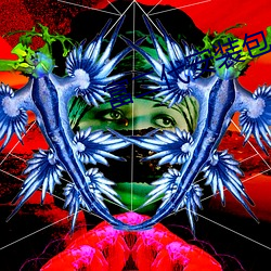 富二代安裝包