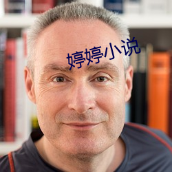 婷婷小說