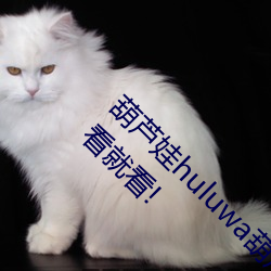 葫芦娃huluwa葫芦里面不卖药评测:超多大片想看就看!