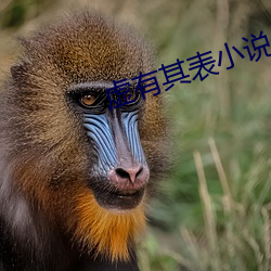 918博天堂·(中国)手机版客户端