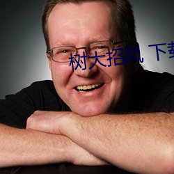 树大招风 下载