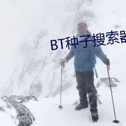 BT种子(zi)搜索器