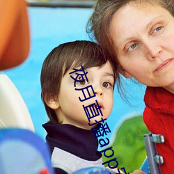 夜月直(直)播app安卓版(版)