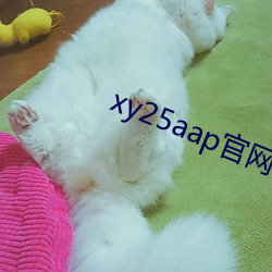 xy25aap官網下載