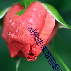 xl先(先)生未增(增)删翻译免费(費)；(花)