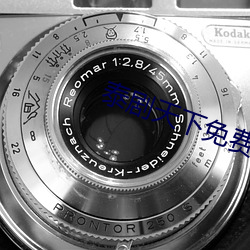 泰剧天下免费观看