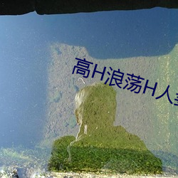 高H浪荡H人妻绿帽