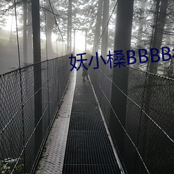 AG真人平台(中国)官方网站
