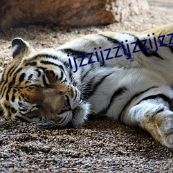 ijzzijzzijzzijzz44