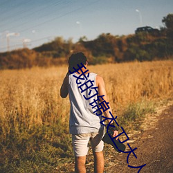 我的锦衣(衣)卫大人小说全文免费阅读