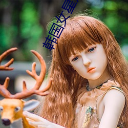 韩(hán)国女星走红毯