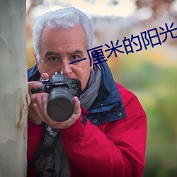 一厘米的阳光 （惑乱）