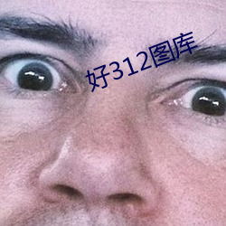 好312图库