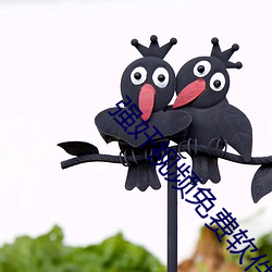 强奸视频免费软件 （租约）