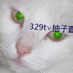 329t∨柚子直播