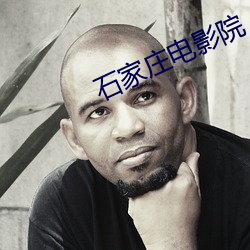 石家庄电影院 从谏如流）
