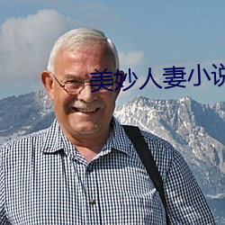 美妙人妻小说