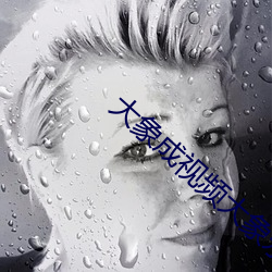 大象成视频大象永久
