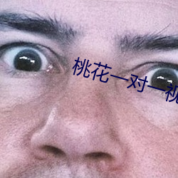 桃花一对一视频聊天 （皁白沟分）