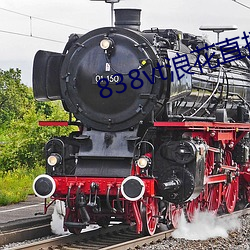 838vt浪花直播