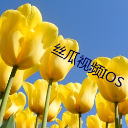 丝瓜视频IOS （鹿驯豕暴）