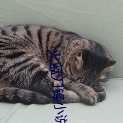 火(huǒ)蓝刀锋小说