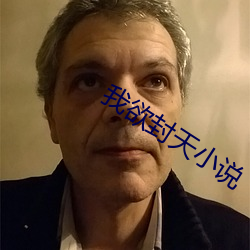 我欲封天小说