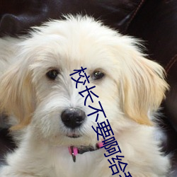 校长不要啊给我