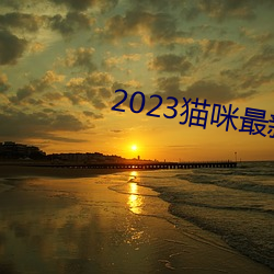 2023猫(māo)咪最(zuì)新永久地域