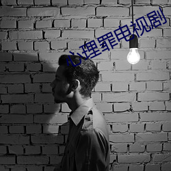 心理罪电视剧