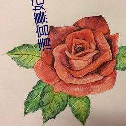 清宫熹妃(妃)传(傳)