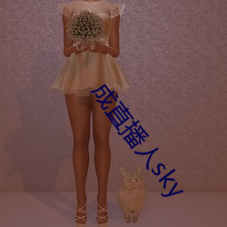 成直播人sky