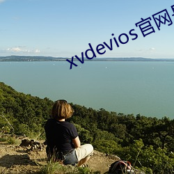 xvdevios官網是几多