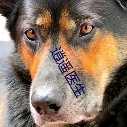 逍遙醫生