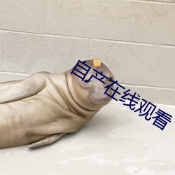 自産在線觀看